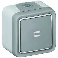 Переключатель Legrand Plexo однополюсный на 2 направления с подсветкой IP55