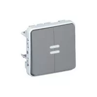 Переключатель Legrand Plexo двухклавишный с подсветкой 10А IP55