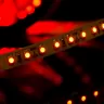 Лента светодиодная стандарт 3528, 120 LED/м, 9,6 Вт/м, 12В , IP20, Цвет: Красный