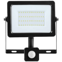 Cветодиодный (LED)прожектор с датчиком движения 100w