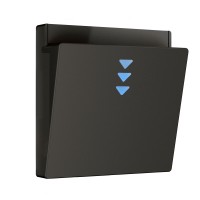 Накладка для электронного карточного выключателя (черный матовый) W1163108