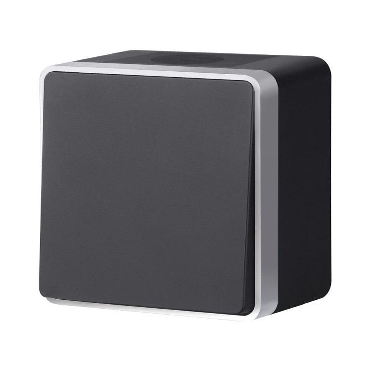 W5010234/ Выключатель одноклавишный влагозащищенный Gallant (черный с серебром) W5010234 W5010234/ Выключатель одноклавишный влагозащищенный Gallant (черный с серебром) W5010234