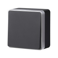 Выключатель одноклавишный Gallant черный с серебром W5010034 W5010034 Выключатель одноклавишный Gallant черный с серебром W5010034 W5010034