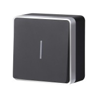 Выключатель одноклавишный с подсветкой Gallant черный с серебром W5010134 W5010134 Выключатель одноклавишный с подсветкой Gallant черный с серебром W5010134 W5010134