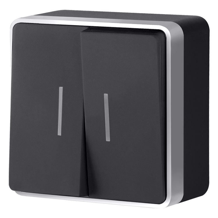 Выключатель двухклавишный с подсветкой Gallant черный с серебром W5020134 W5020134 Выключатель двухклавишный с подсветкой Gallant черный с серебром W5020134 W5020134