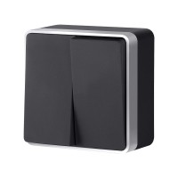 Выключатель двухклавишный Gallant черный с серебром W5020034 W5020034 Выключатель двухклавишный Gallant черный с серебром W5020034 W5020034